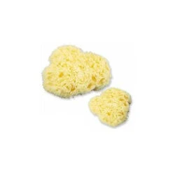 Mister Baby Spugna Grande Naturale Di Mare