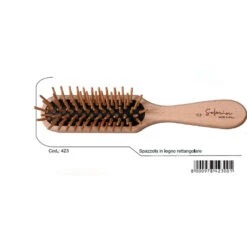 Guenzani Spazzola Superior Legno Rettangolare Art. 423